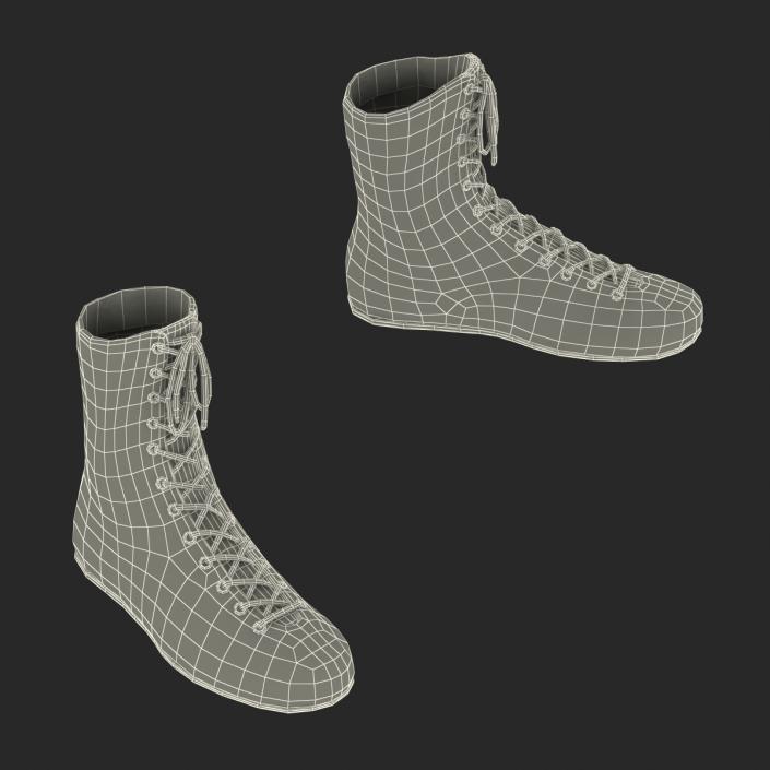 3D Boxing Gear