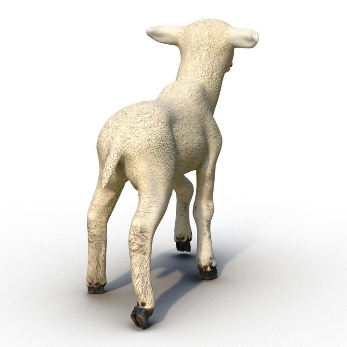 3D Lamb Pose 2