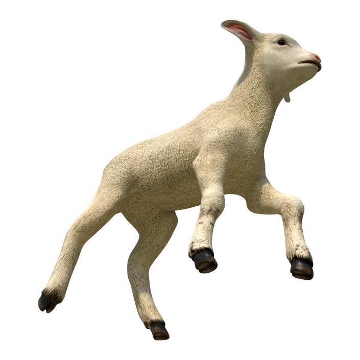 3D Lamb Pose 2