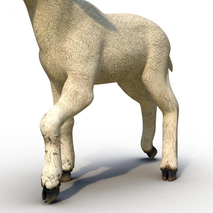 3D Lamb Pose 2