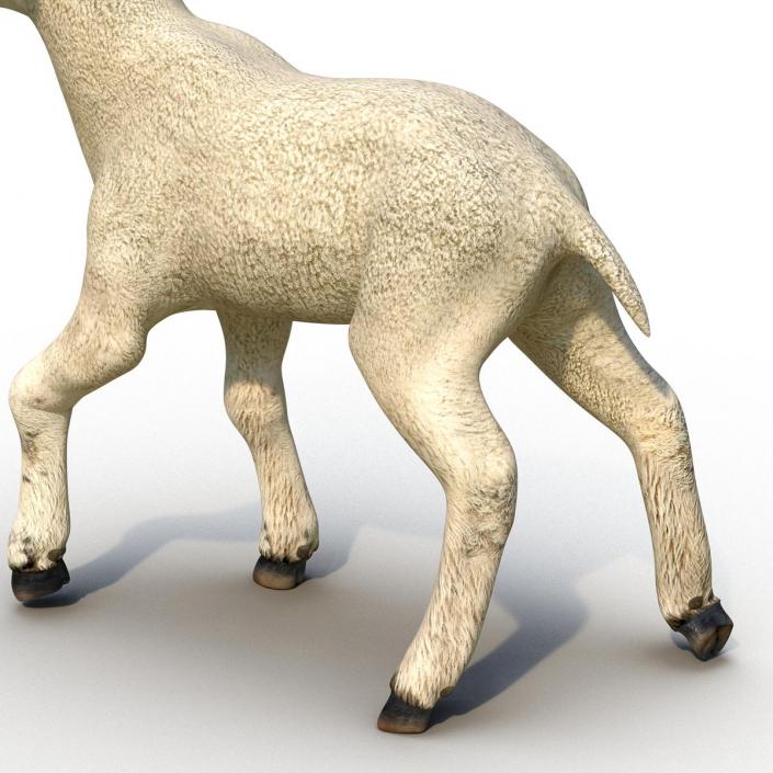 3D Lamb Pose 2