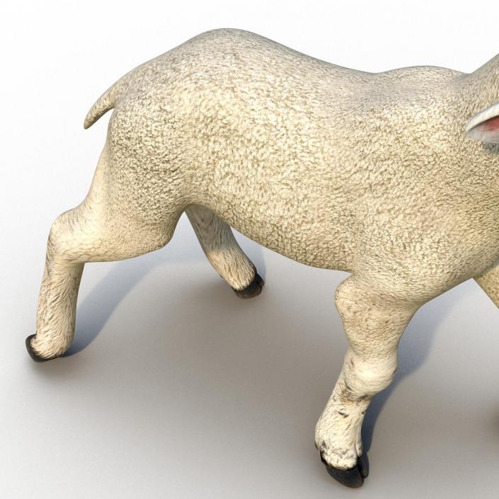 3D Lamb Pose 2