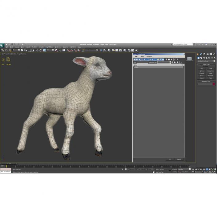 3D Lamb Pose 2