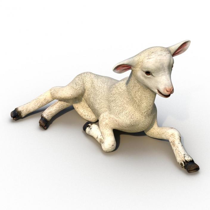 3D Lamb Pose 4