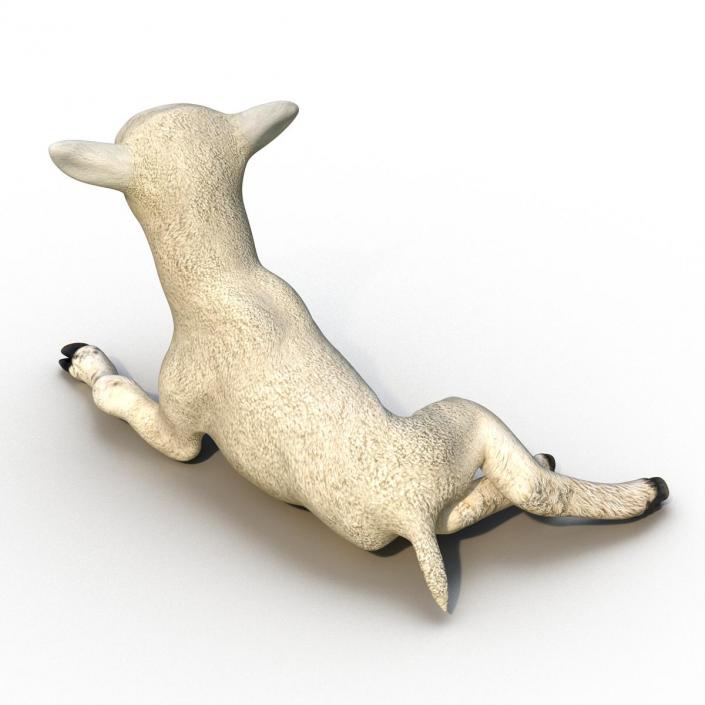 3D Lamb Pose 4