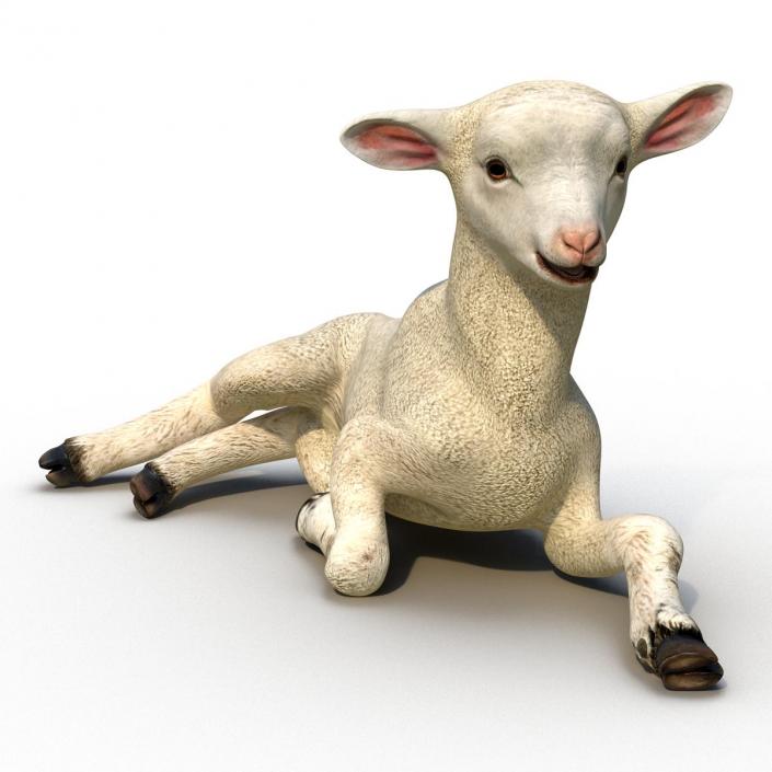 3D Lamb Pose 4