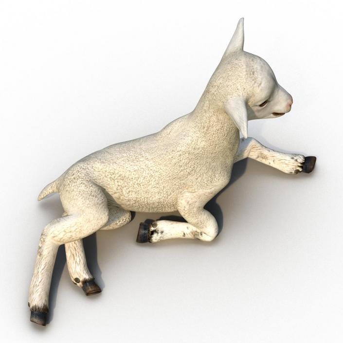 3D Lamb Pose 4