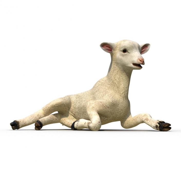 3D Lamb Pose 4