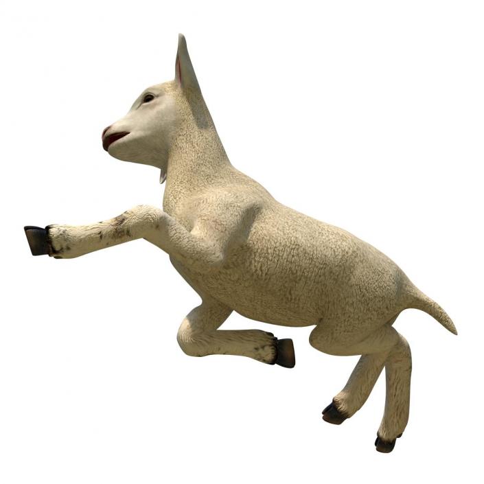 3D Lamb Pose 4