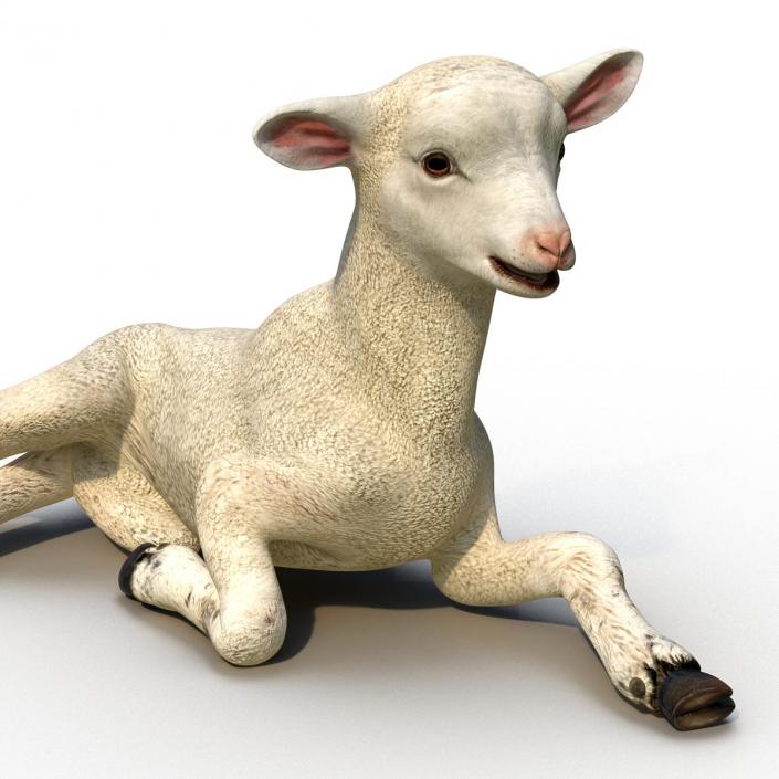 3D Lamb Pose 4