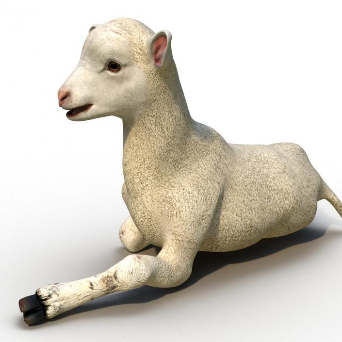 3D Lamb Pose 4