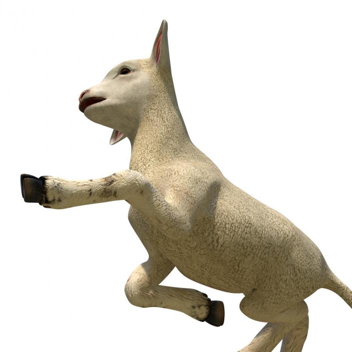 3D Lamb Pose 4