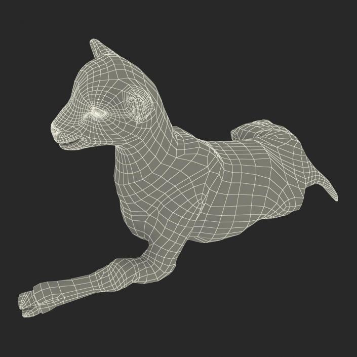 3D Lamb Pose 4