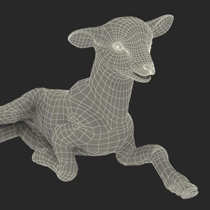 3D Lamb Pose 4