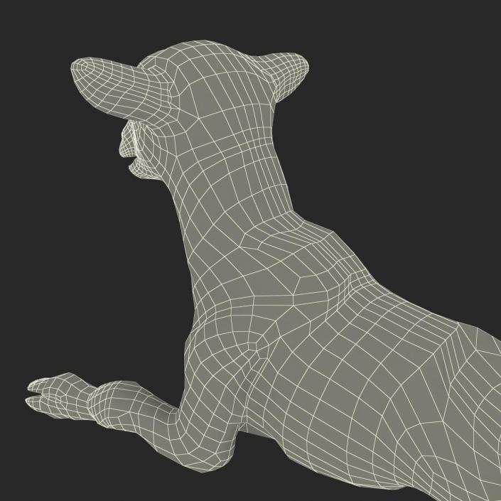 3D Lamb Pose 4