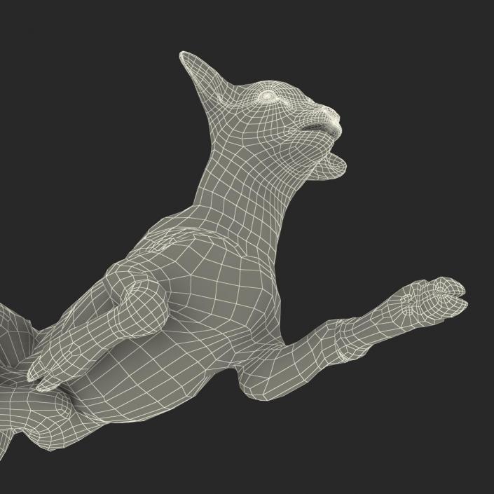 3D Lamb Pose 4