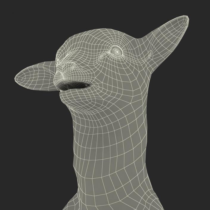 3D Lamb Pose 4