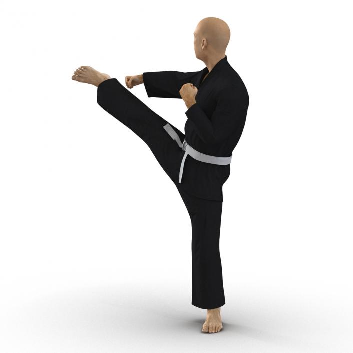 3D Japanese Karate Fighter Black Suit Pose 2