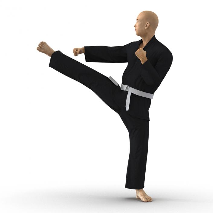 3D Japanese Karate Fighter Black Suit Pose 2