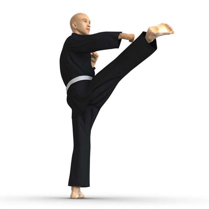 3D Japanese Karate Fighter Black Suit Pose 2