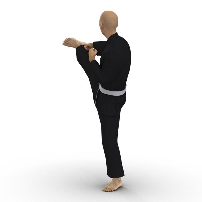 3D Japanese Karate Fighter Black Suit Pose 2