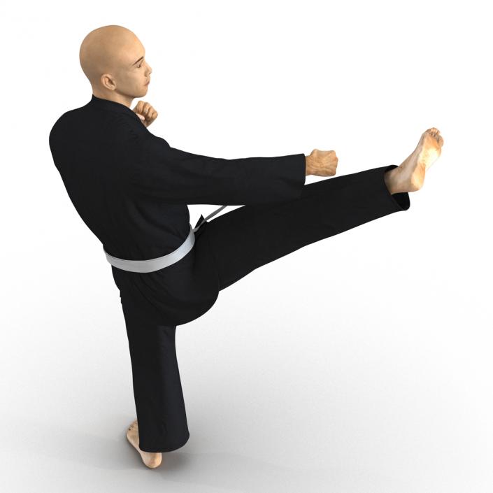 3D Japanese Karate Fighter Black Suit Pose 2