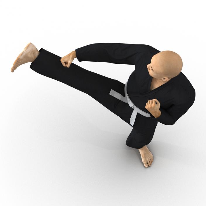 3D Japanese Karate Fighter Black Suit Pose 2