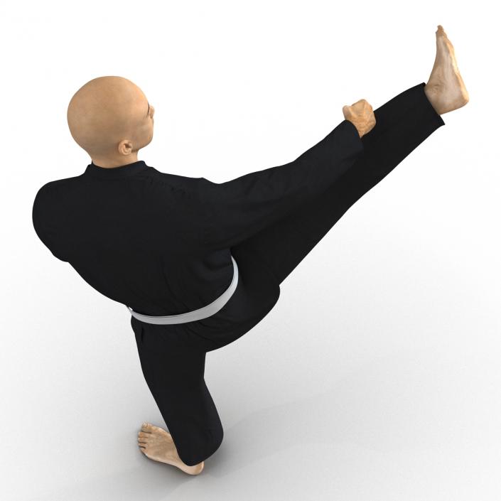 3D Japanese Karate Fighter Black Suit Pose 2