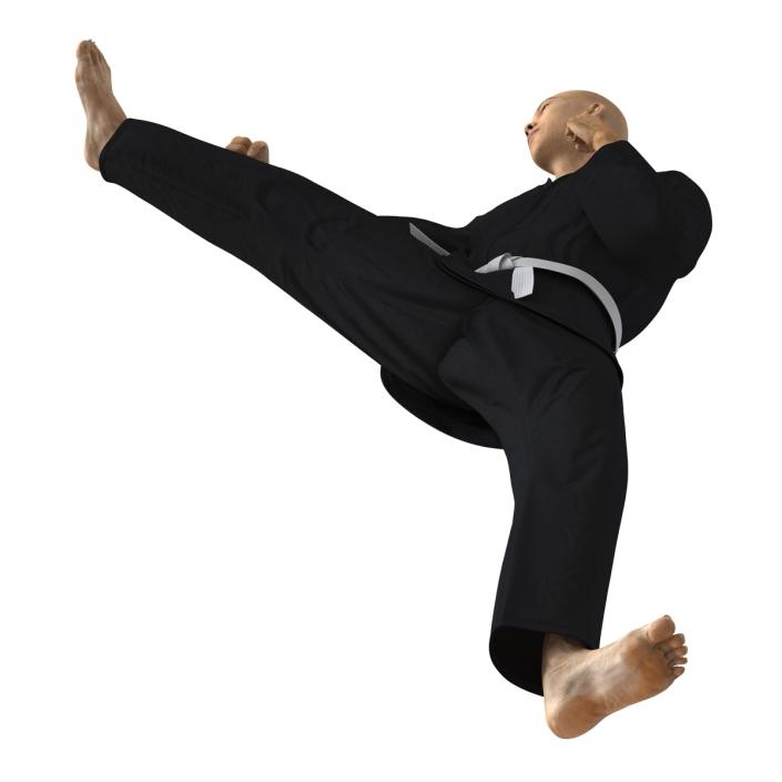 3D Japanese Karate Fighter Black Suit Pose 2