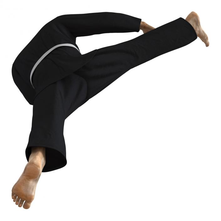 3D Japanese Karate Fighter Black Suit Pose 2