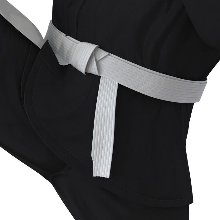 3D Japanese Karate Fighter Black Suit Pose 2