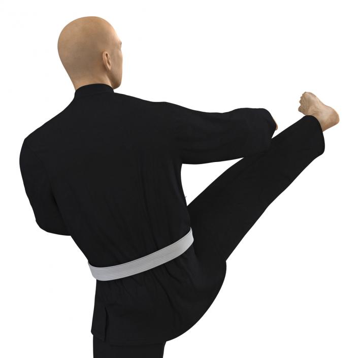 3D Japanese Karate Fighter Black Suit Pose 2