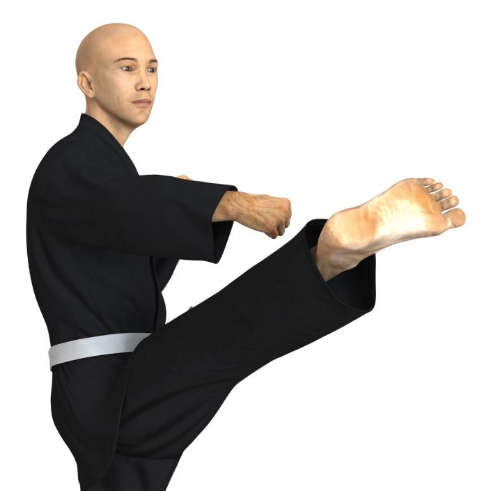 3D Japanese Karate Fighter Black Suit Pose 2