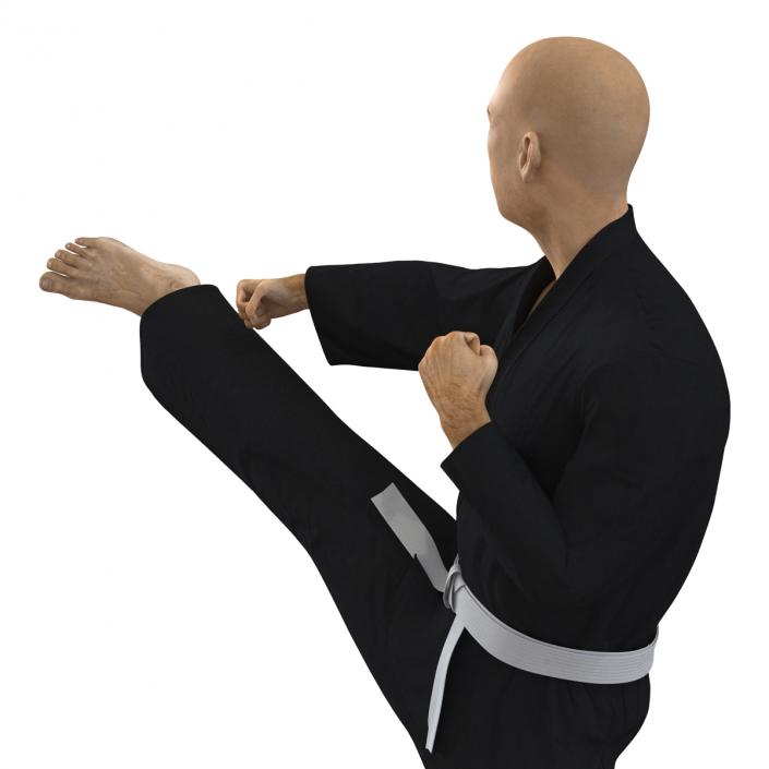 3D Japanese Karate Fighter Black Suit Pose 2