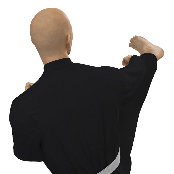 3D Japanese Karate Fighter Black Suit Pose 2