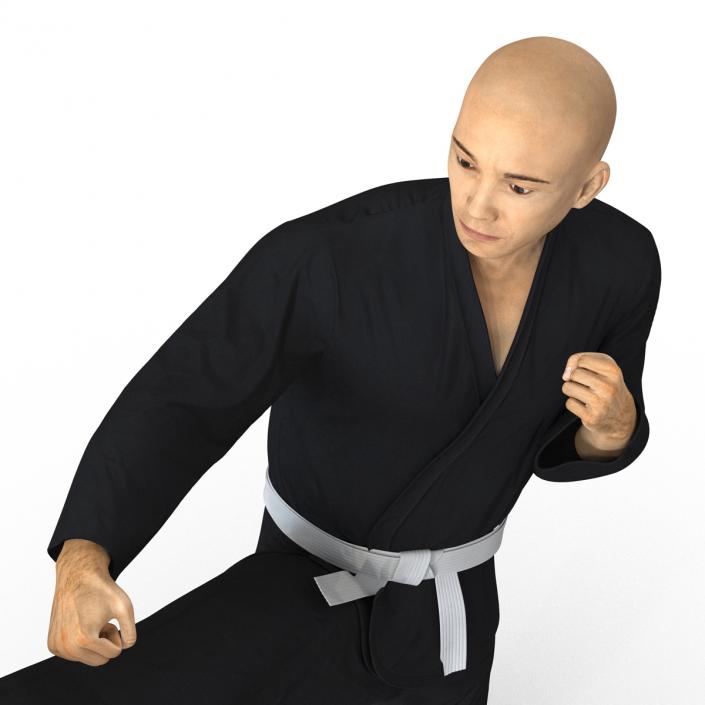 3D Japanese Karate Fighter Black Suit Pose 2