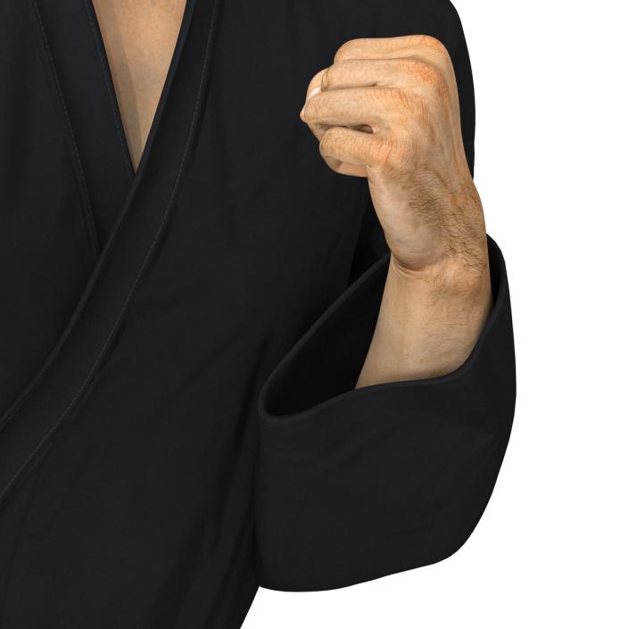 3D Japanese Karate Fighter Black Suit Pose 2