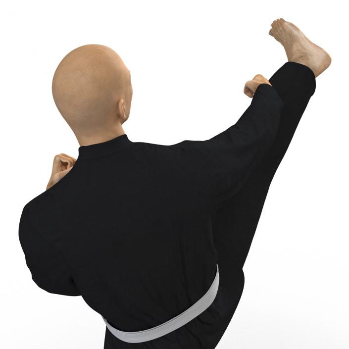 3D Japanese Karate Fighter Black Suit Pose 2