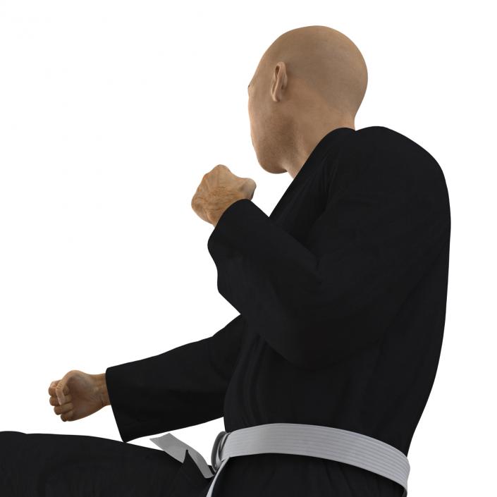 3D Japanese Karate Fighter Black Suit Pose 2