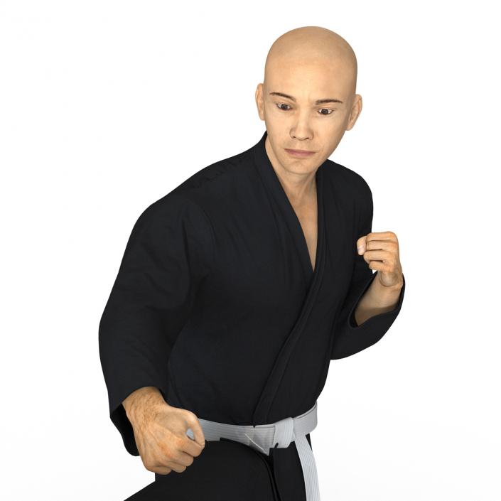 3D Japanese Karate Fighter Black Suit Pose 2