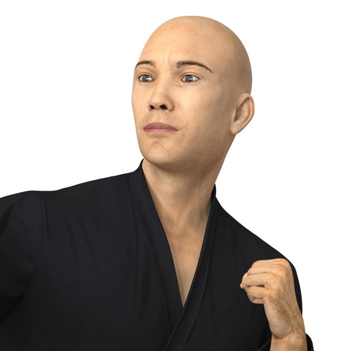 3D Japanese Karate Fighter Black Suit Pose 2