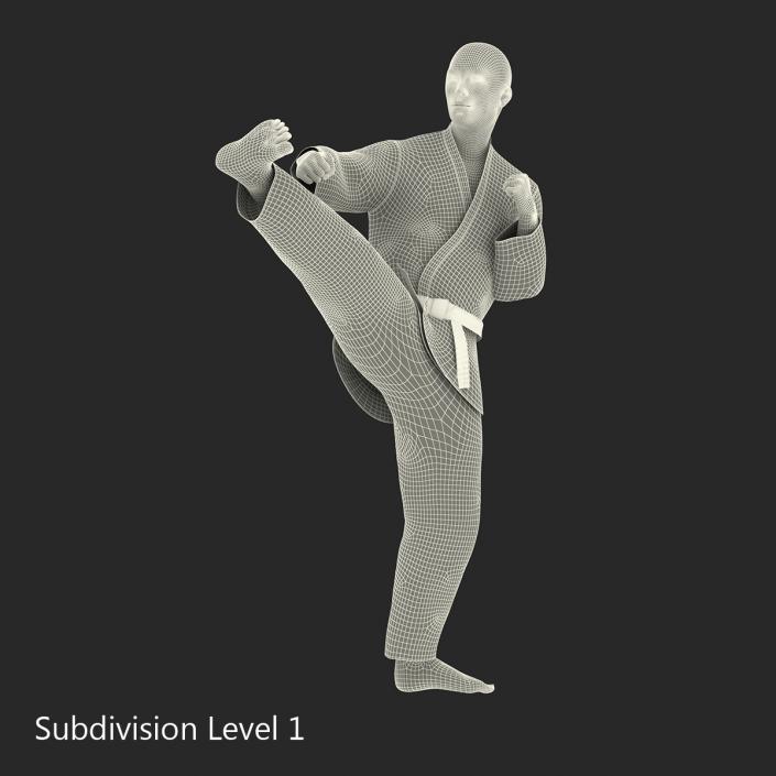 3D Japanese Karate Fighter Black Suit Pose 2