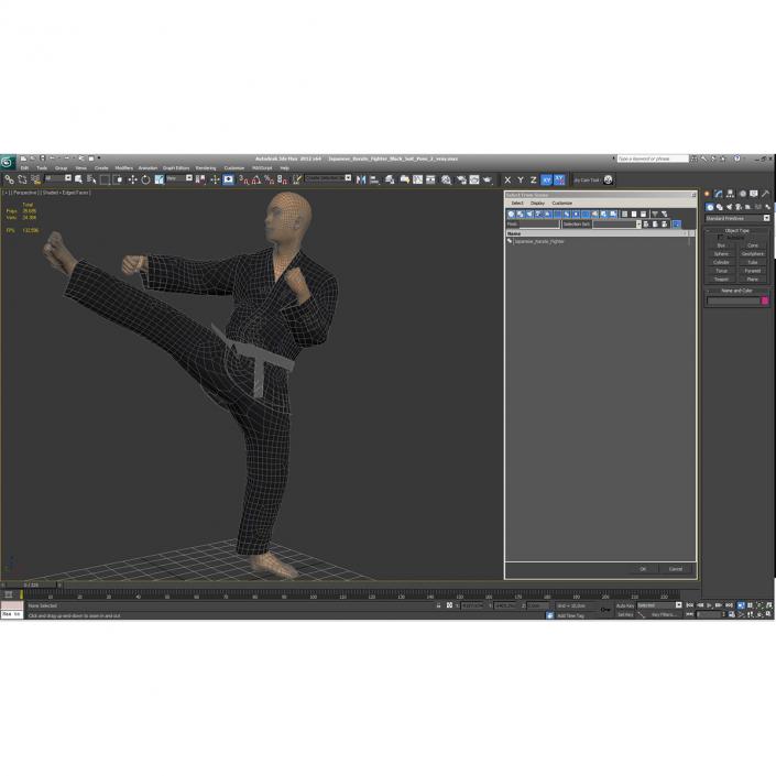 3D Japanese Karate Fighter Black Suit Pose 2