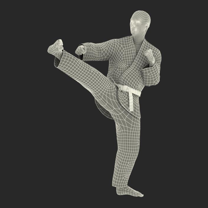 3D Japanese Karate Fighter Black Suit Pose 2