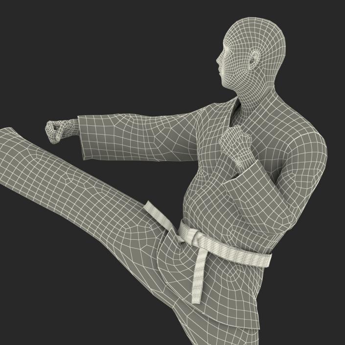 3D Japanese Karate Fighter Black Suit Pose 2