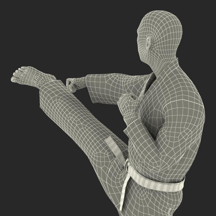 3D Japanese Karate Fighter Black Suit Pose 2