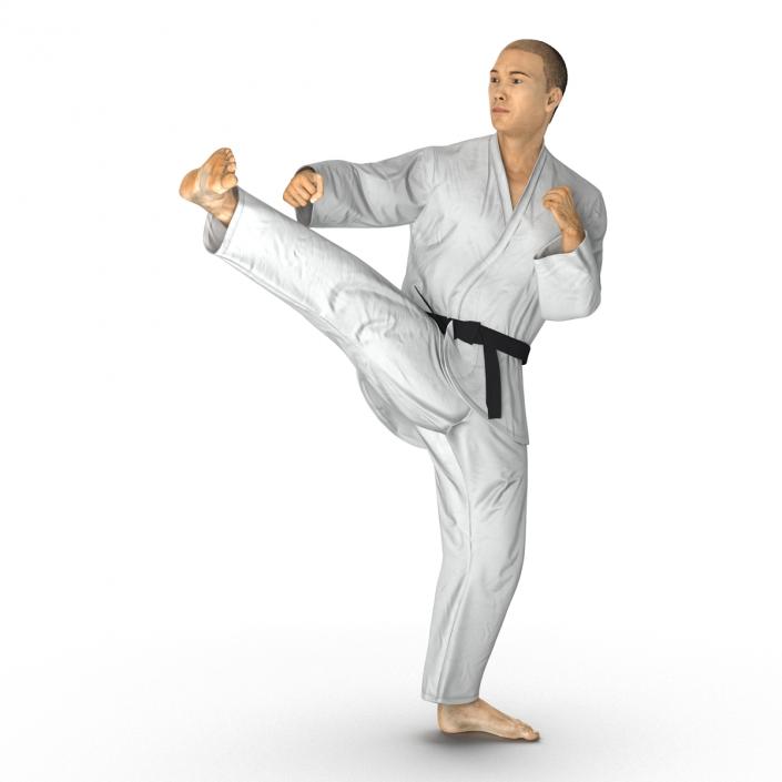 Japanese Karate Fighter Pose 2 with Fur 3D model