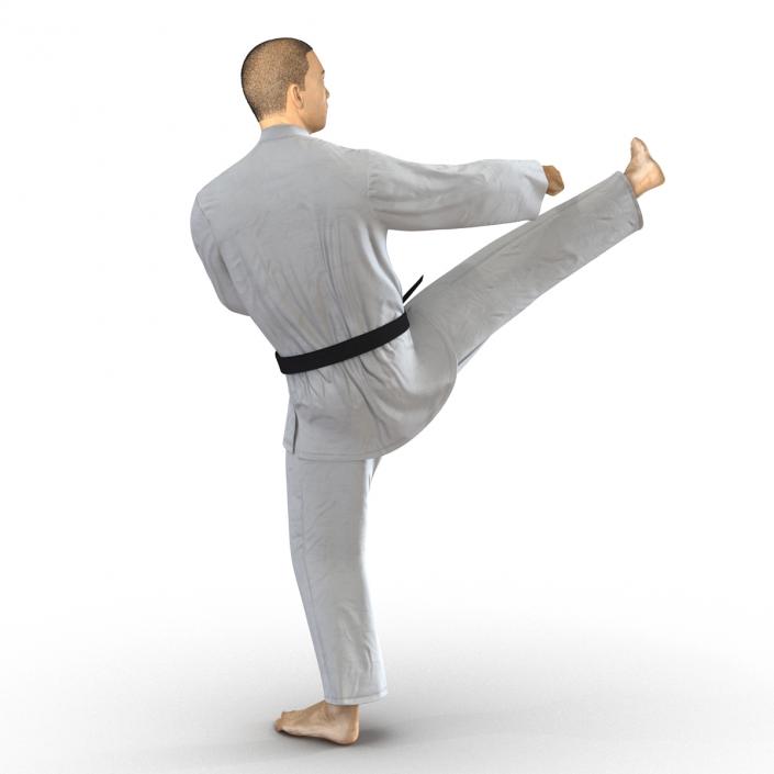 Japanese Karate Fighter Pose 2 with Fur 3D model