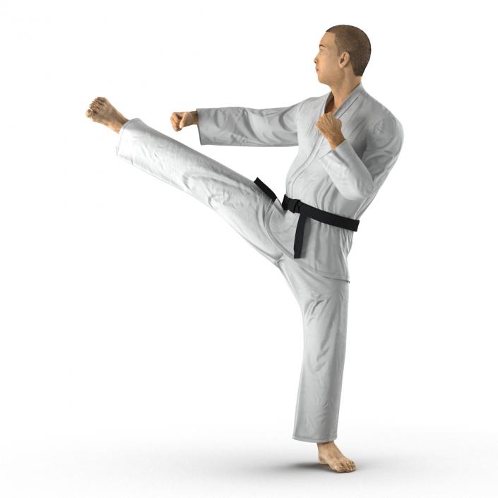 Japanese Karate Fighter Pose 2 with Fur 3D model