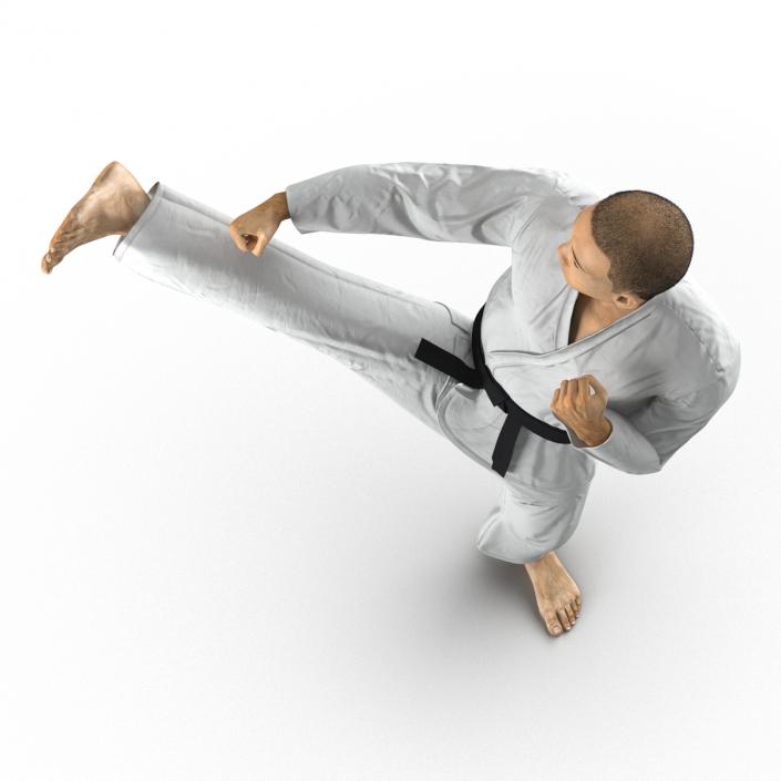 Japanese Karate Fighter Pose 2 with Fur 3D model